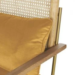 Maisons Du Monde Fauteuils Fauteuil En Velours Ocre Cannage En Rotin -Fauteuils Shop fauteuil en velours ocre cannage en rotin 1000 14 27 209947 5